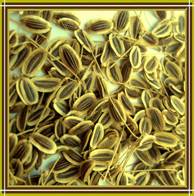 anise seed